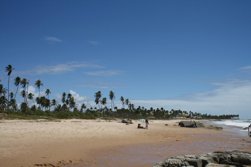 Tropicale 2*