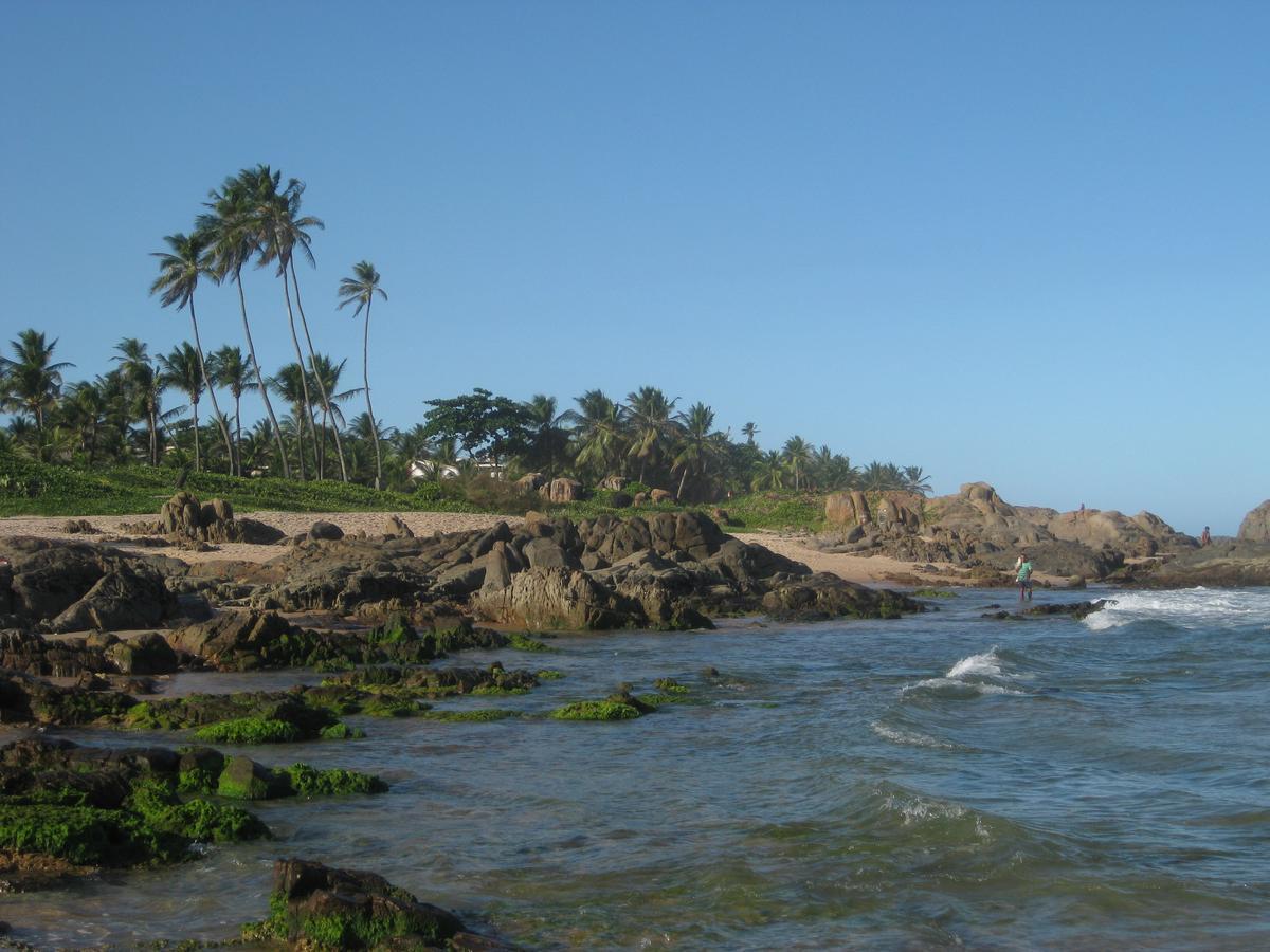 Tropicale Guest house 2*