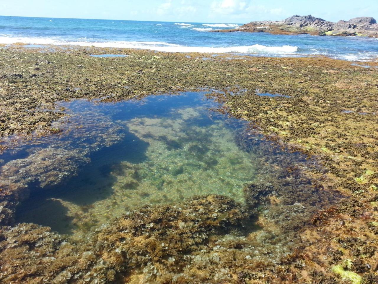 Pensión Tropicale Salvador de Bahía